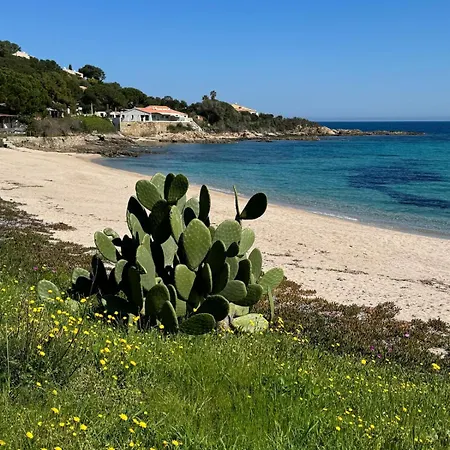 公寓 Sea View Ste Lucie Porto Vecchio 38 孔卡